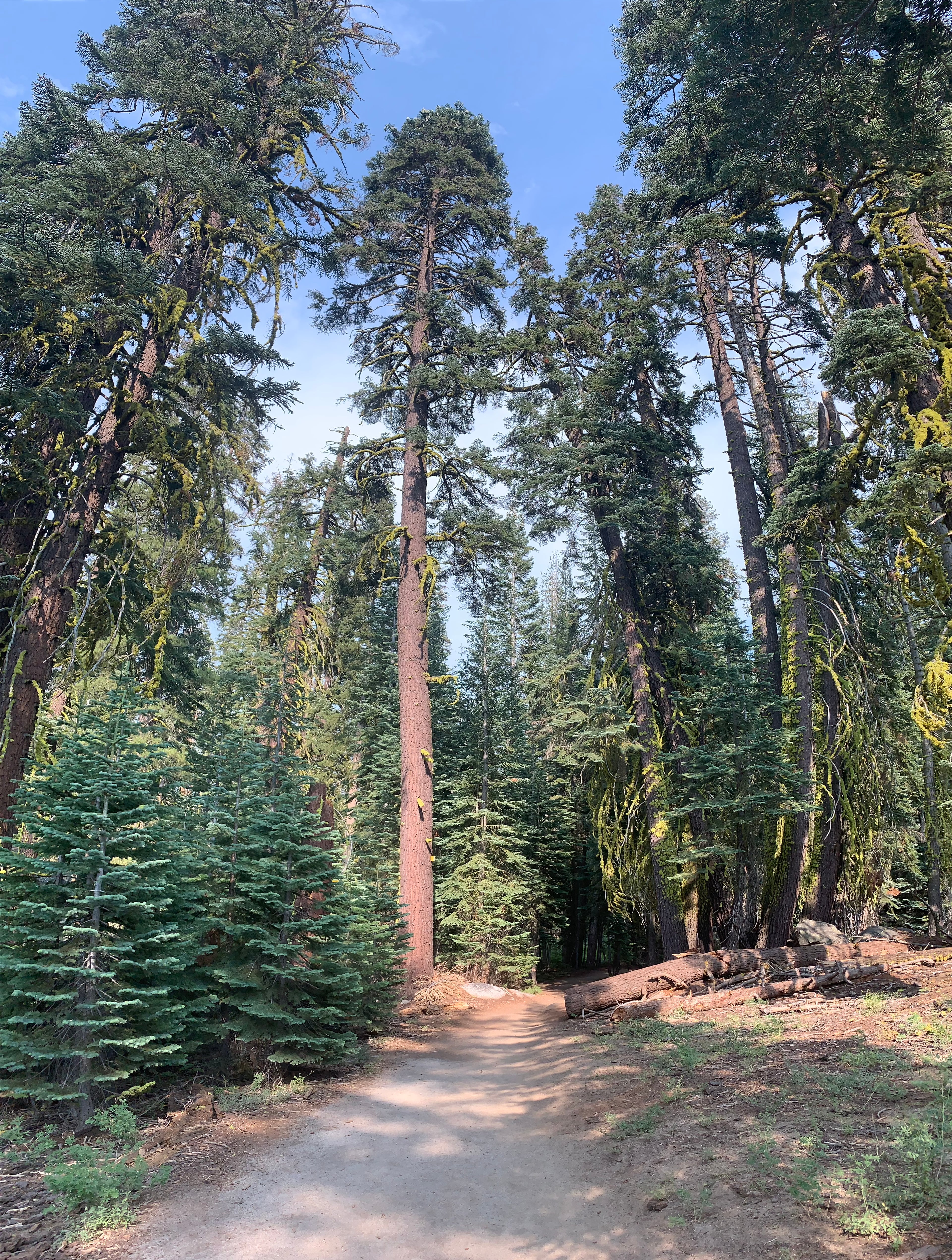 Yosemite, California