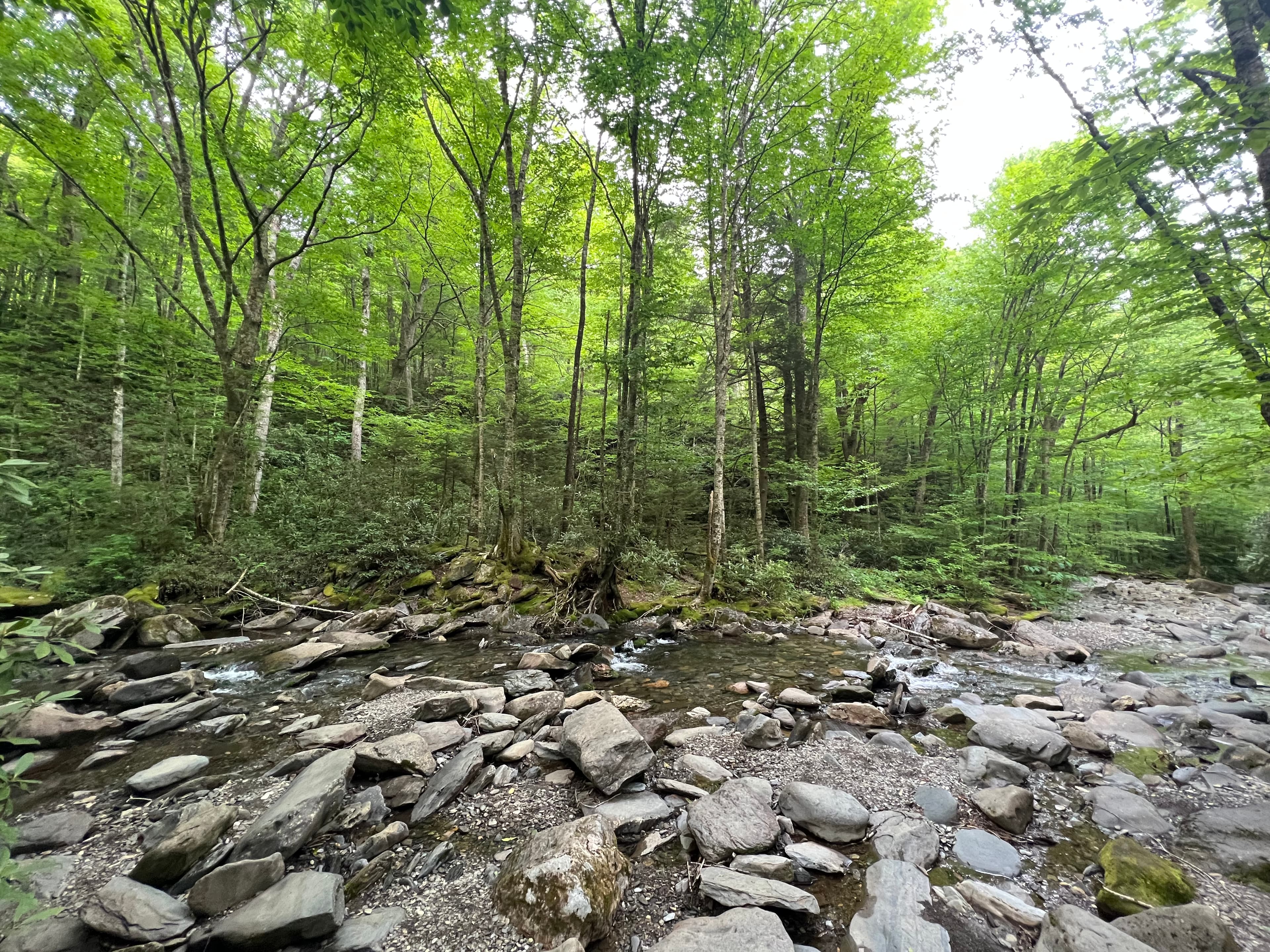 Smokey Mountain National Park, Tennessee
