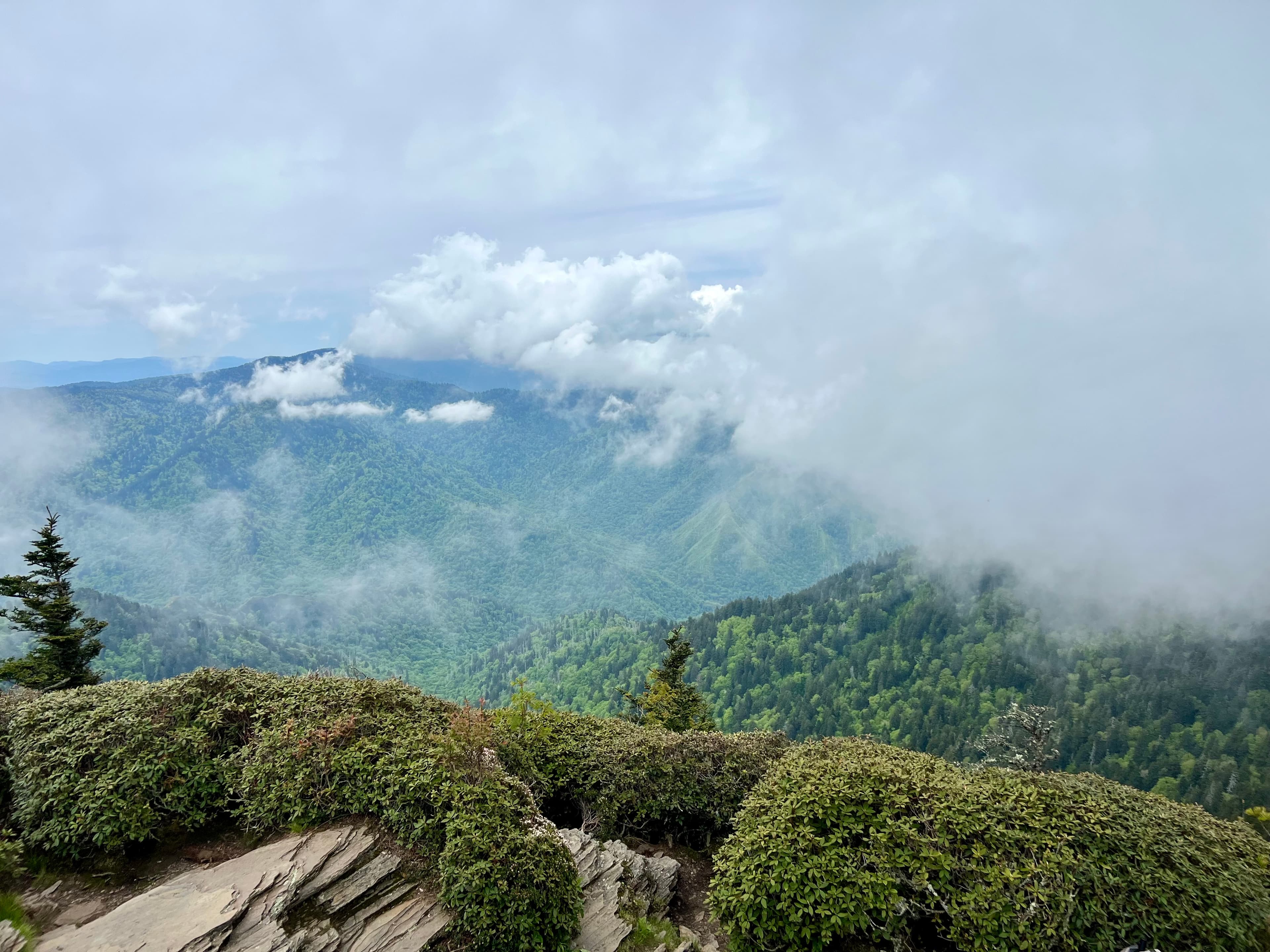 Smokey Mountain National Park, Tennessee