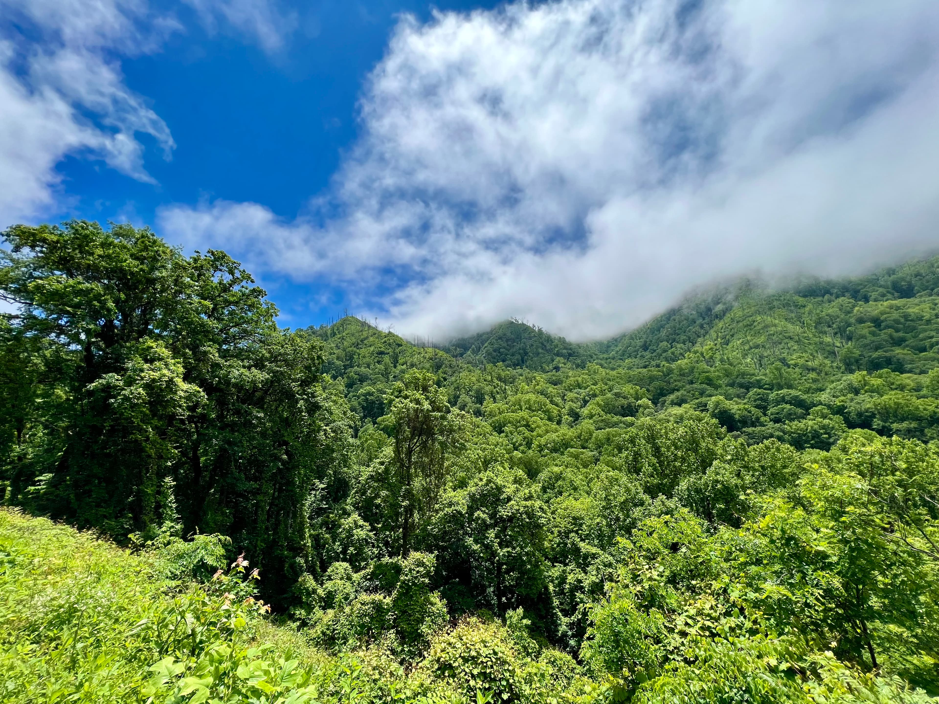 Smokey Mountain National Park, Tennessee
