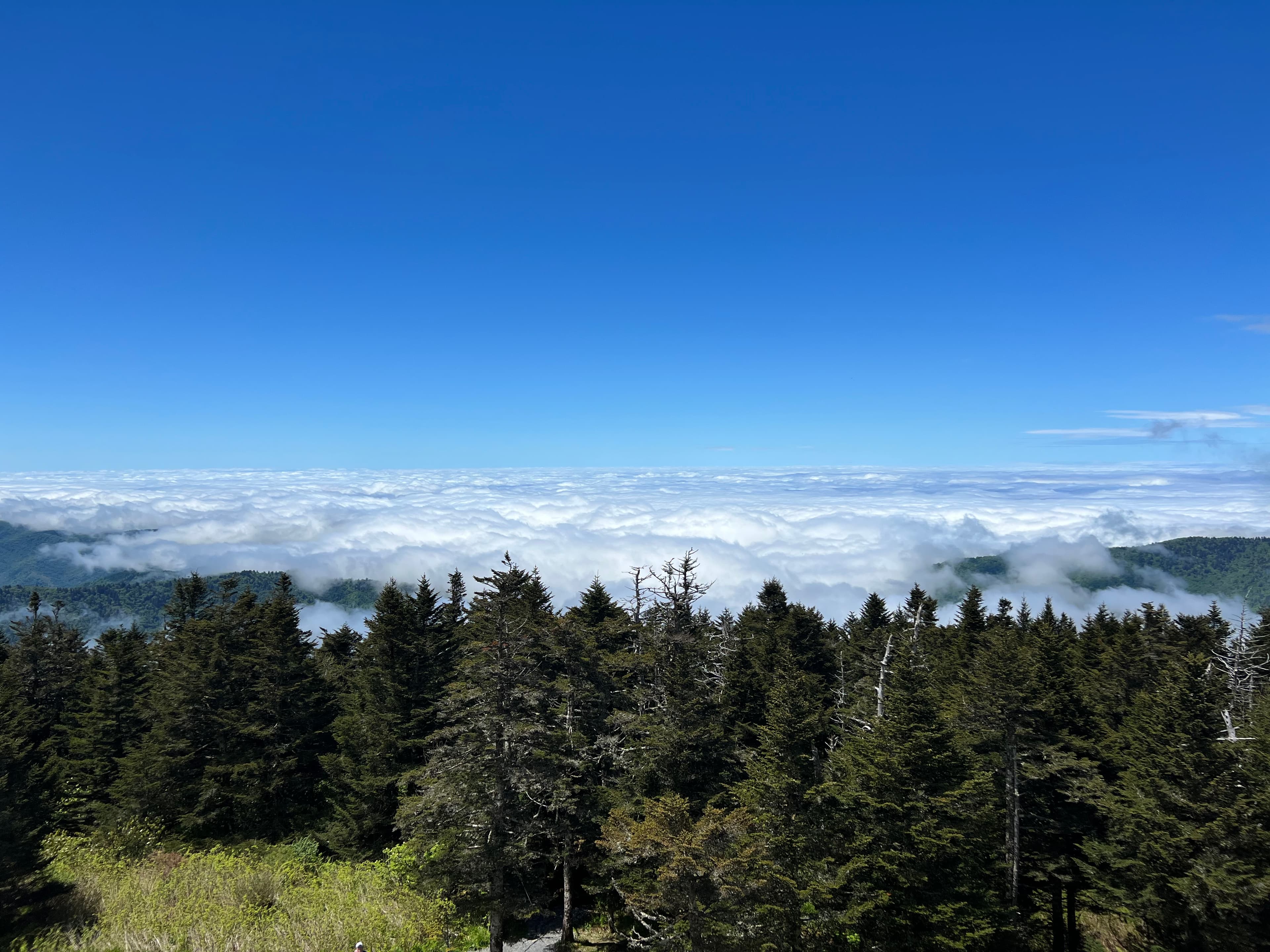 Smokey Mountain National Park, Tennessee