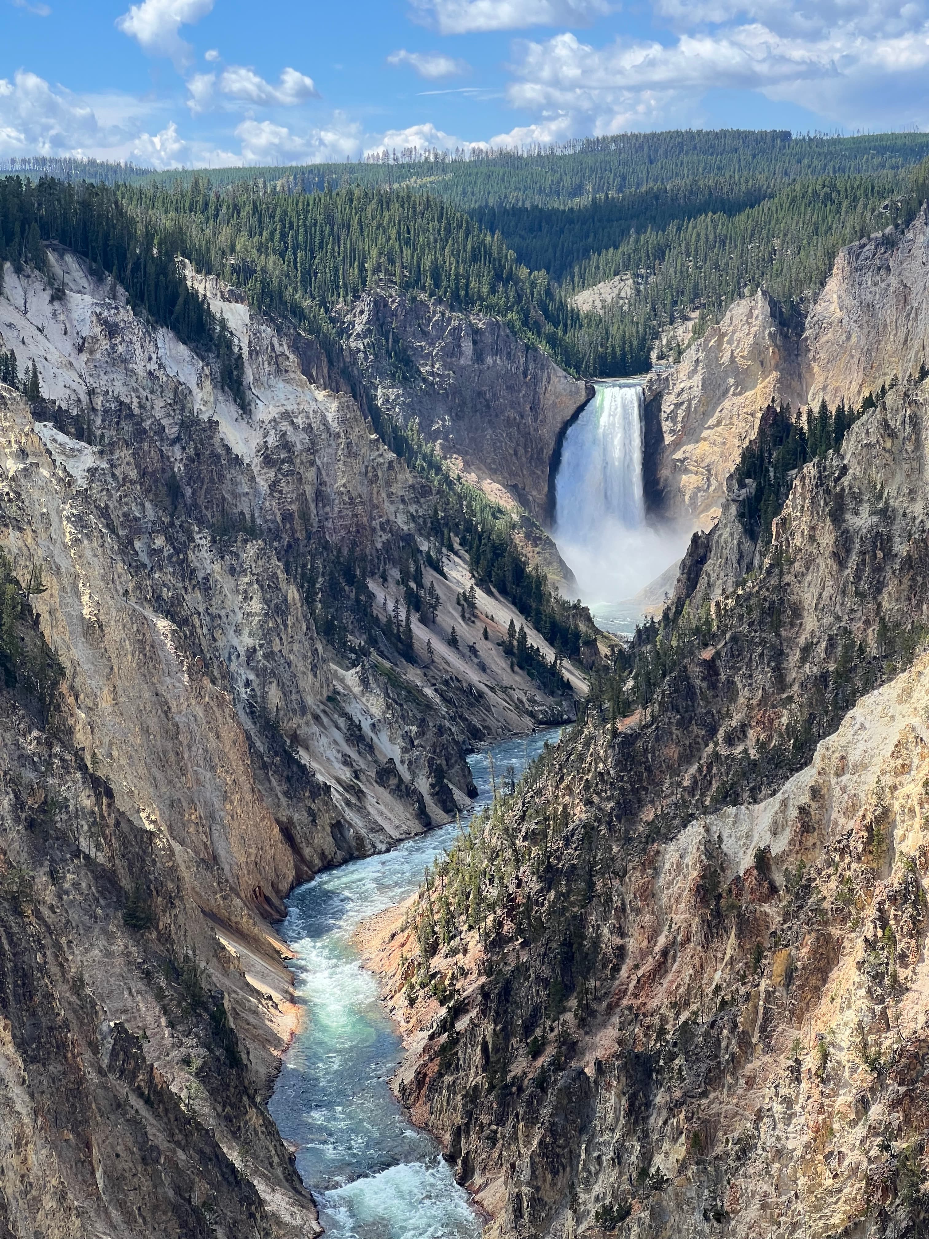 Lower falls from Artist's Point, Yellowstone National Park, Wyoming