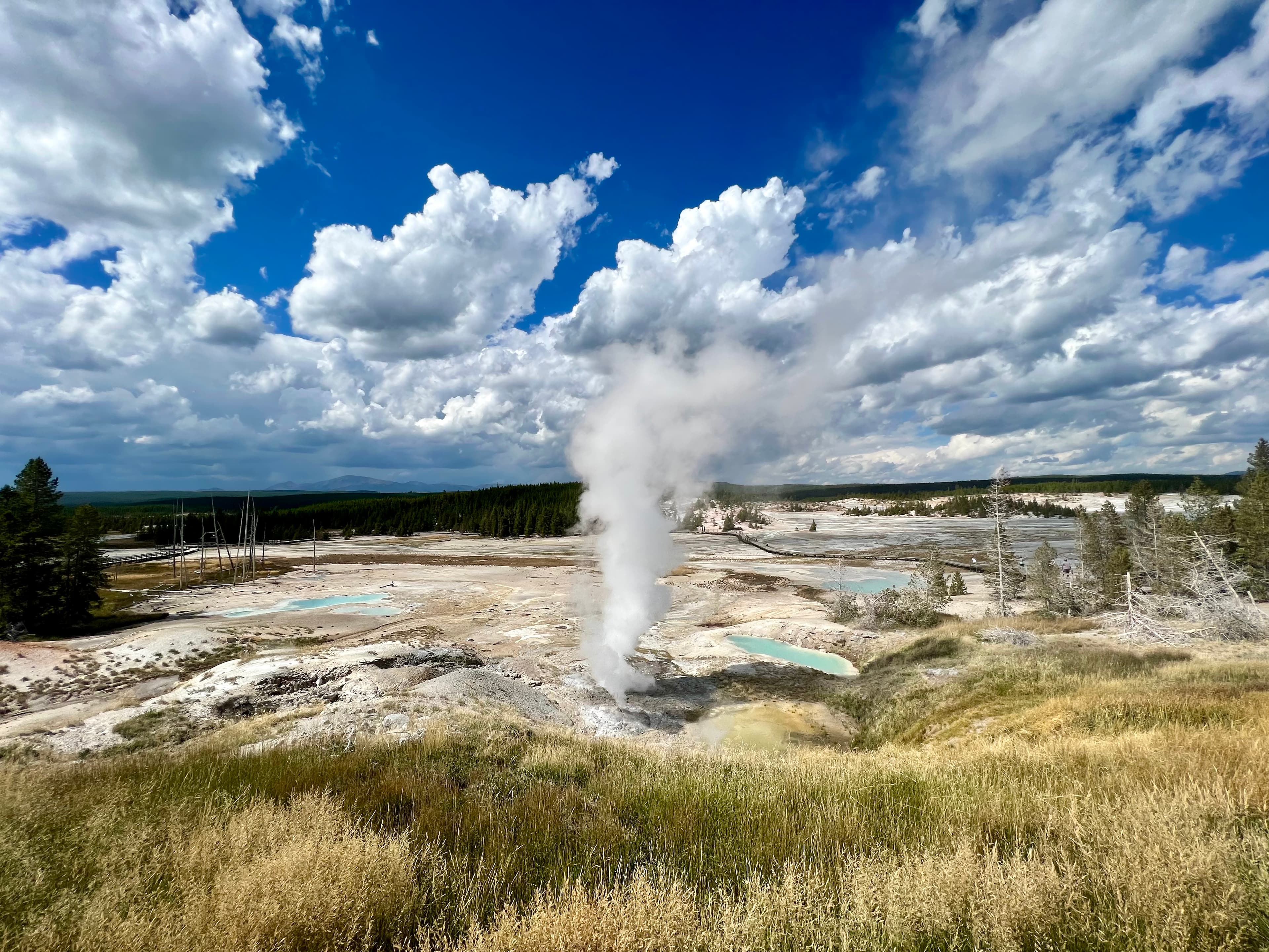 Norris Geyser Basin, Yellowstone National Park, Wyoming