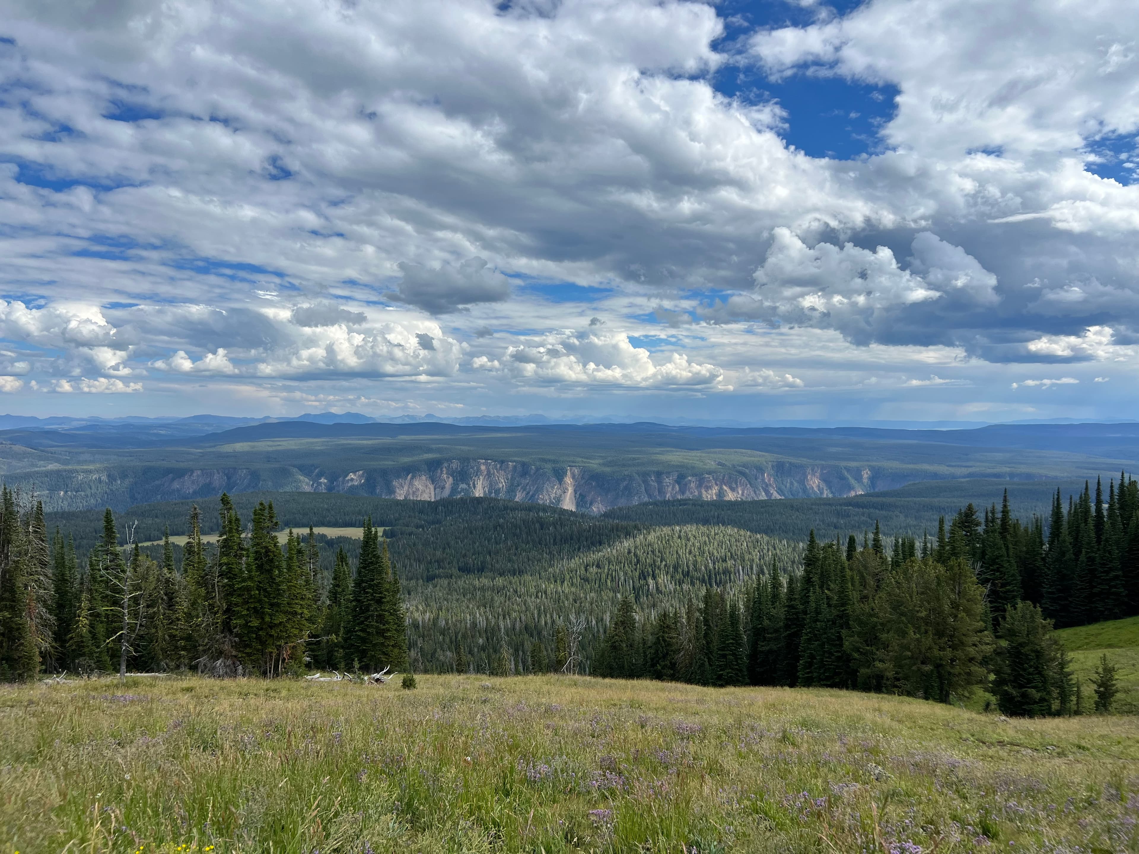 Yellowstone National Park, Wyoming