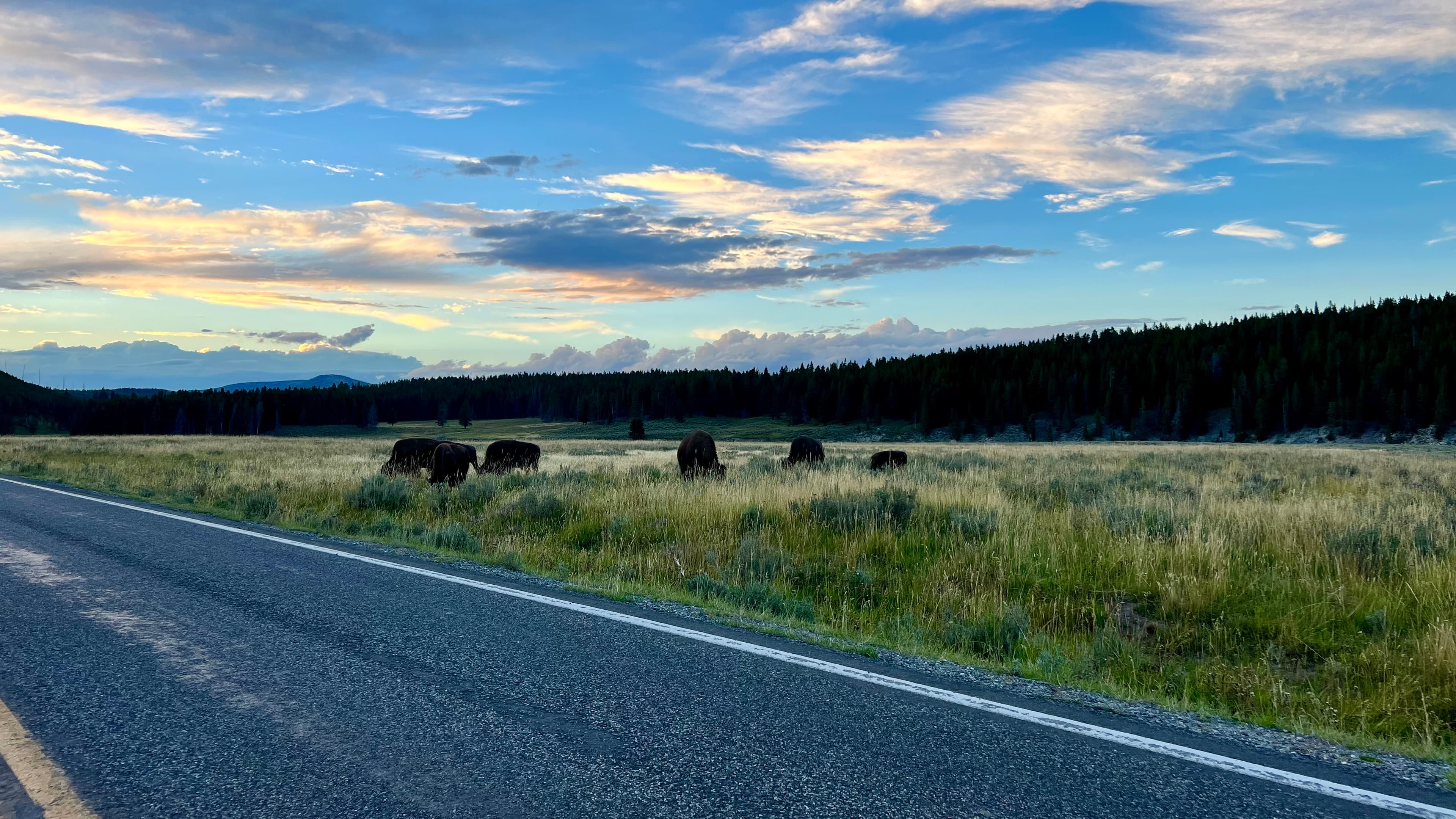 Yellowstone National Park, Wyoming