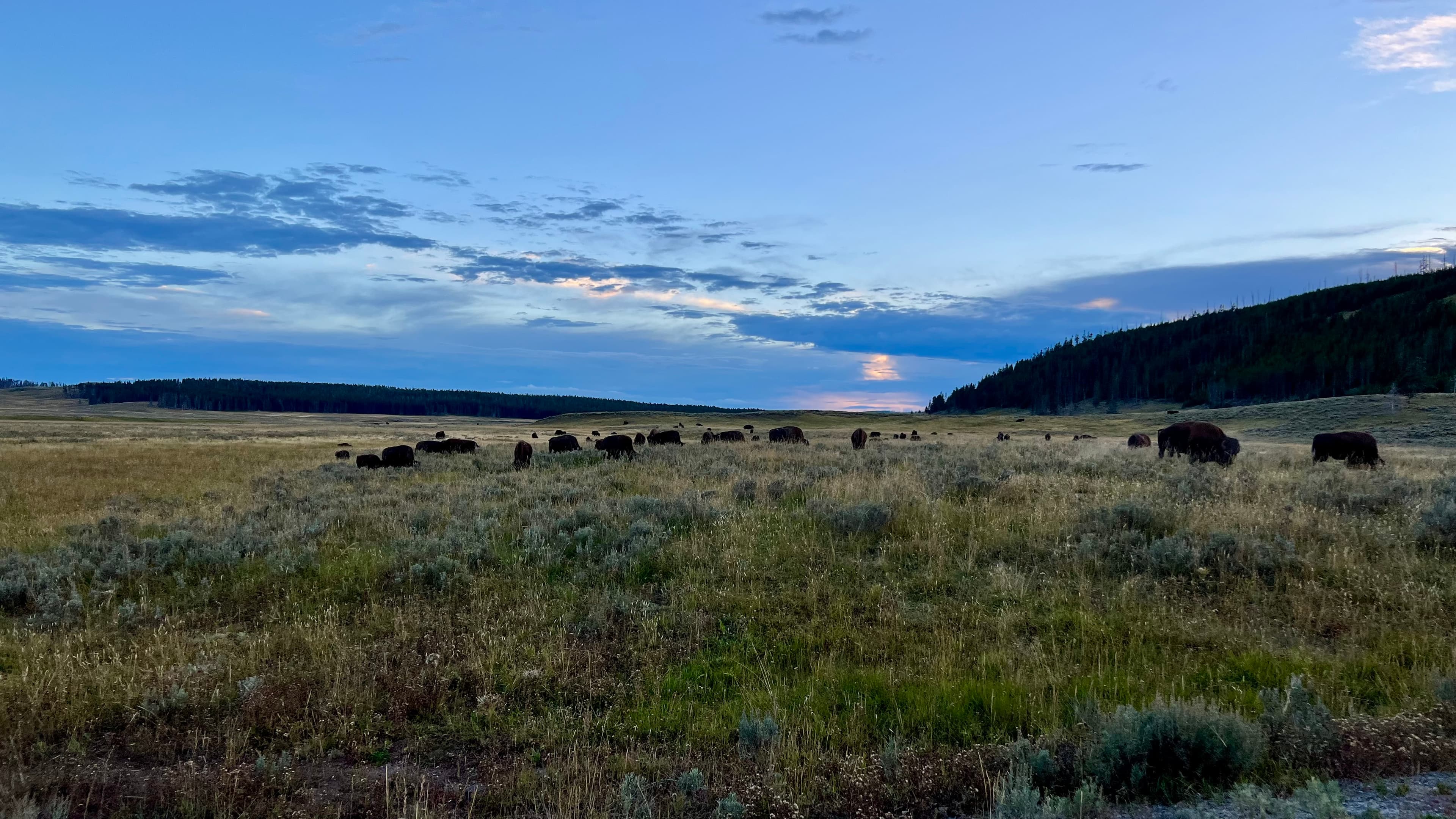Yellowstone National Park, Wyoming