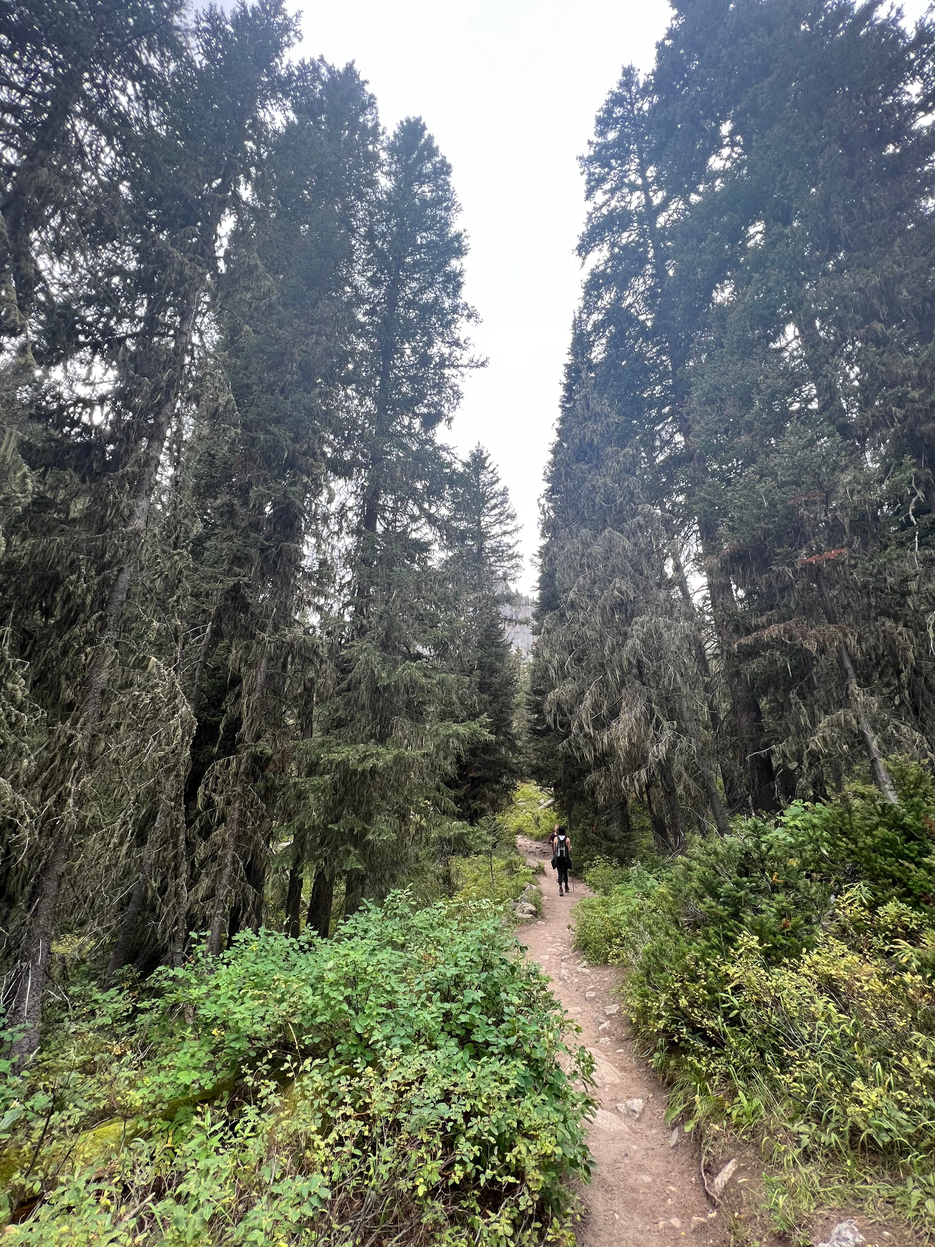 Cascade Canyon, Grand Teton National Park, Wyoming