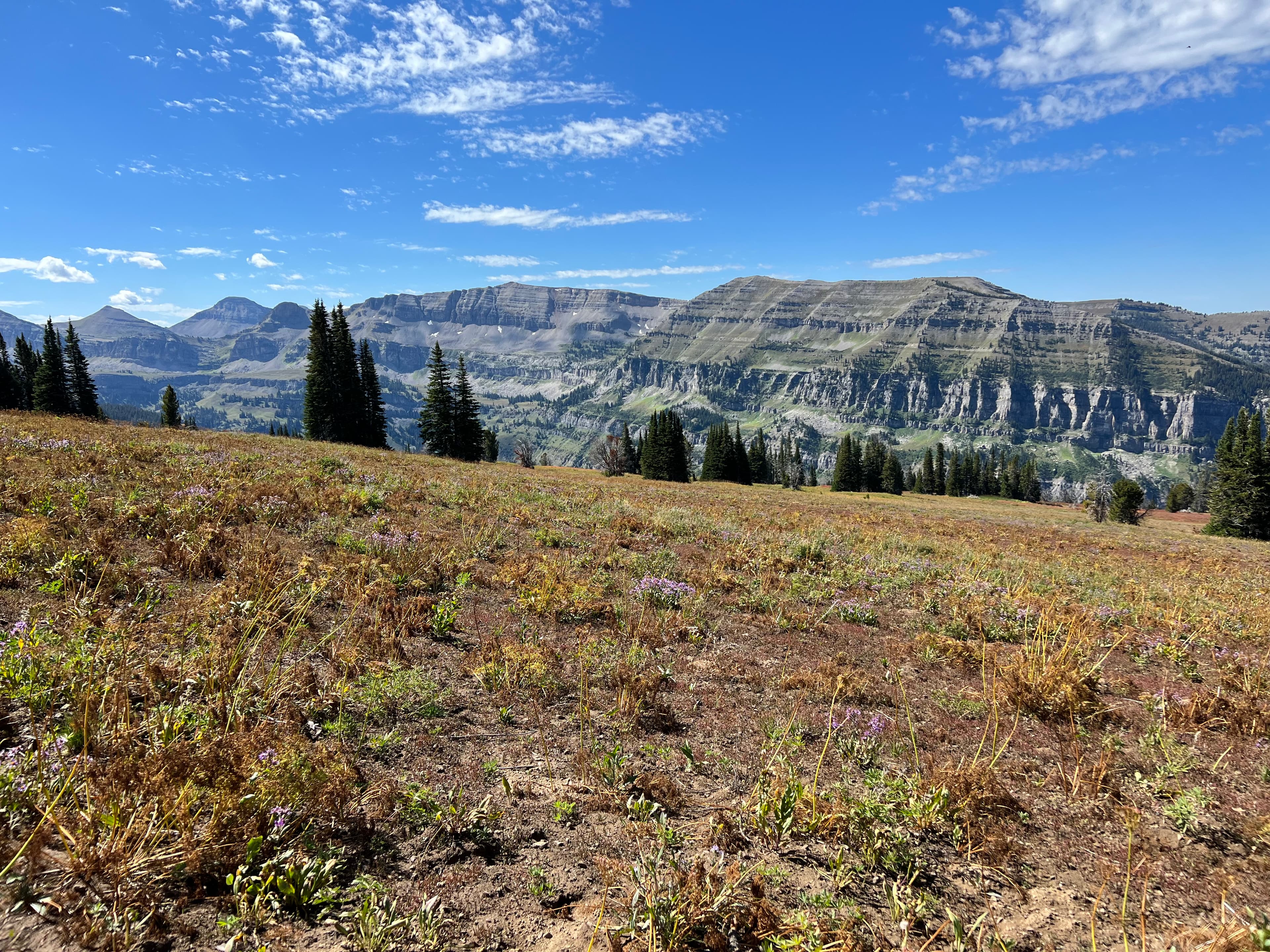Table Mountain, Grand Teton National Park, Wyoming