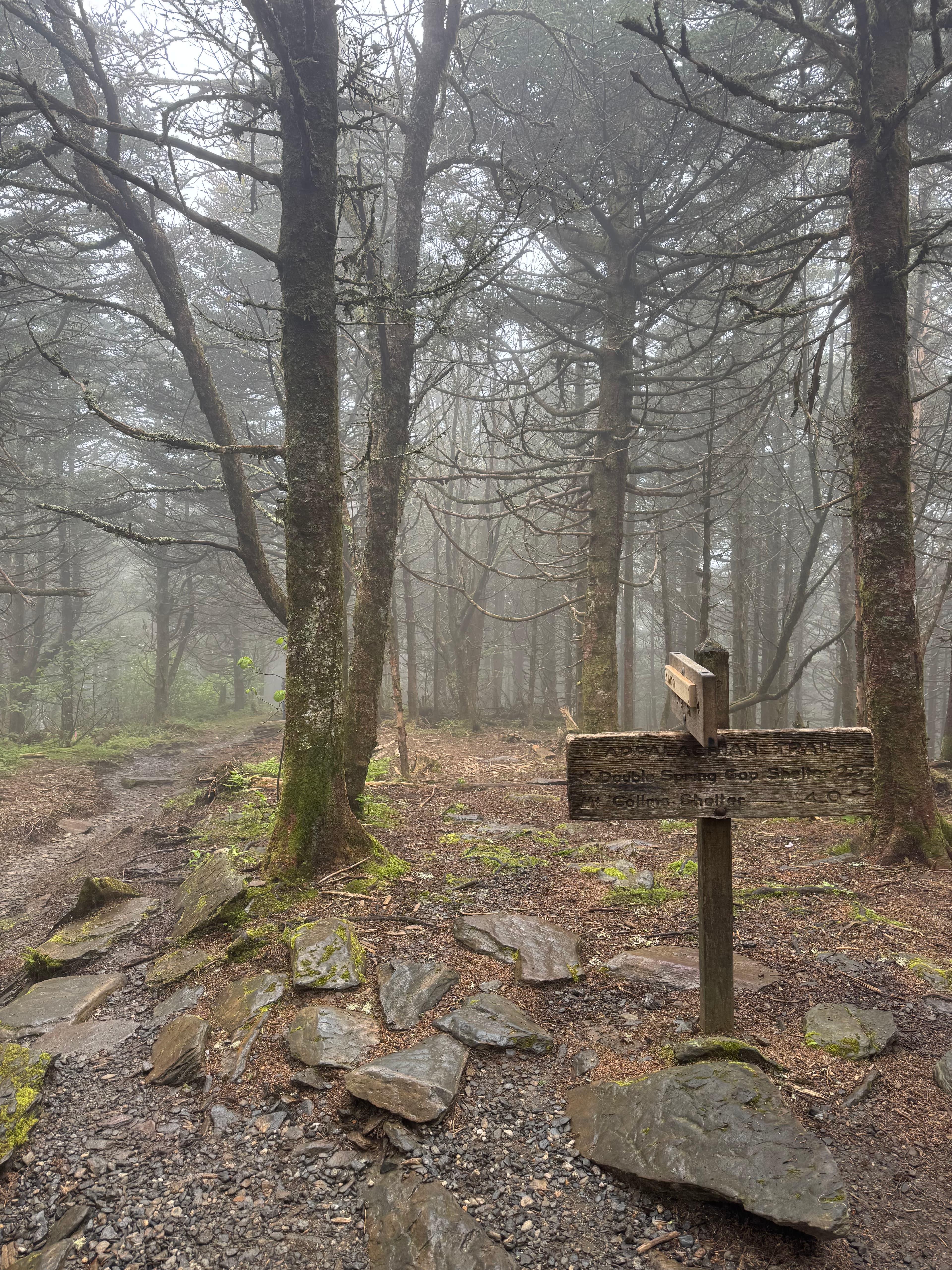 Appalachian Trail, Smoky Mountain National Park, Tennessee