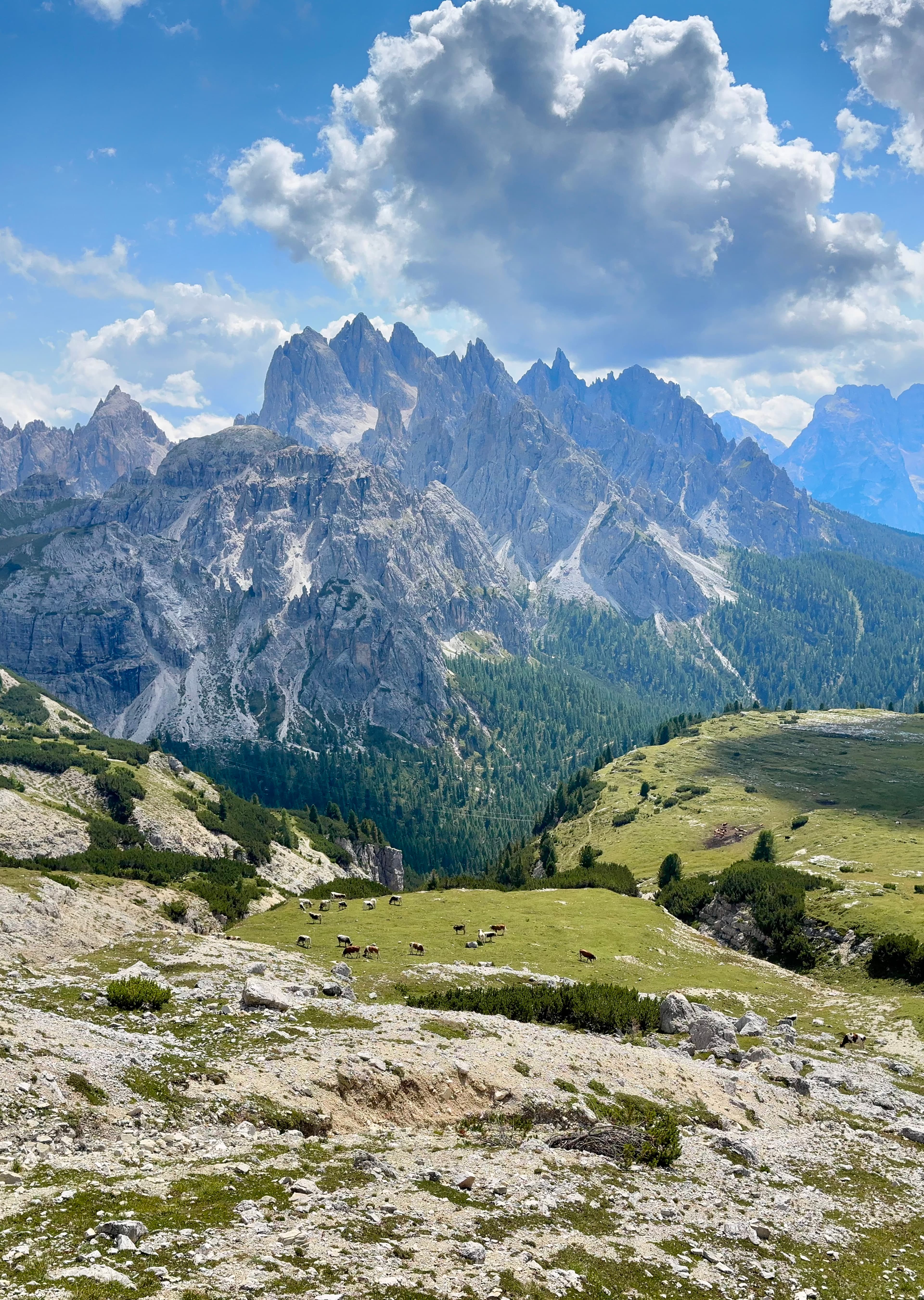 Cadini di Misurina, Italy (Dolomites)